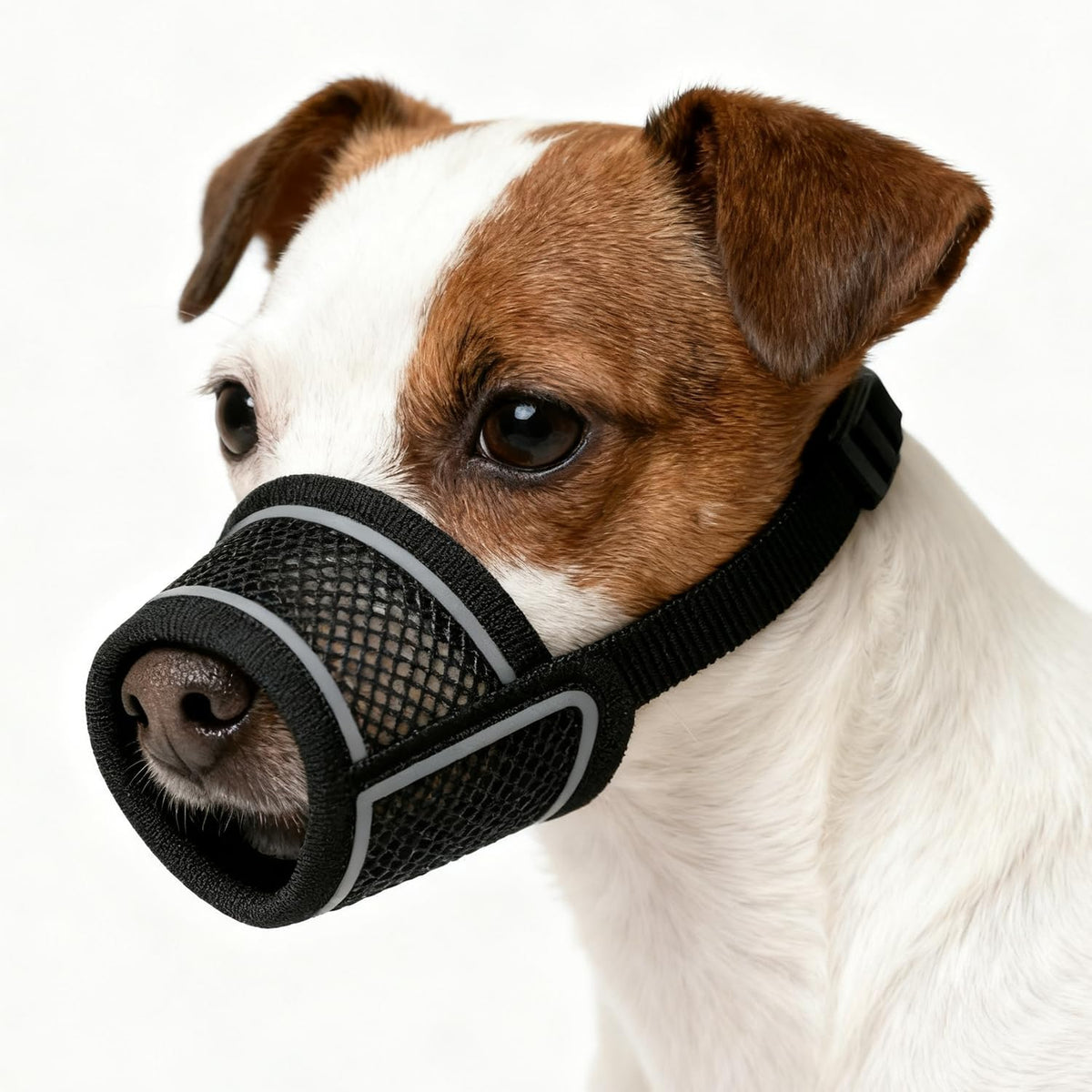 Dog Muzzle for Small Medium Large Dogs Soft Air Mesh Muzzles – Essentials for Dogs - Black / S (Snout 6¼"-7")