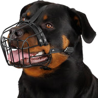 Stainless Steel Wire Basket Dog Muzzle for Husky – Essentials for Dogs - Polyvinyl Chloride (PVC) / Rottweiler