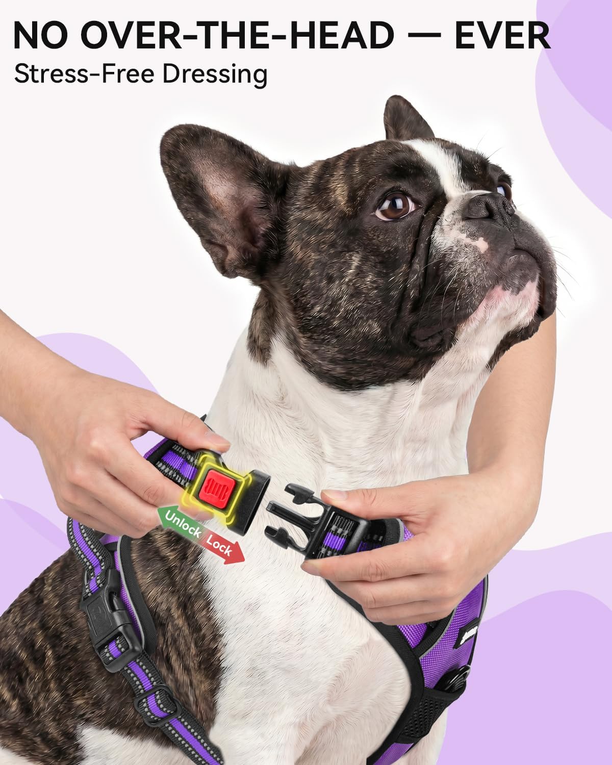 Joytale No Pull Dog Harness & Seat Belt, Easy On 3-Buckle, L - Purple / Large - image 2