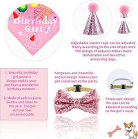 Dog Party Supplies Decorations - Cute Bandana, Let's Pawty Banner, Cake Topper, Hat, Pink Bowtie, Tutu Skirt, Paw Balloon for Birthday Celebration