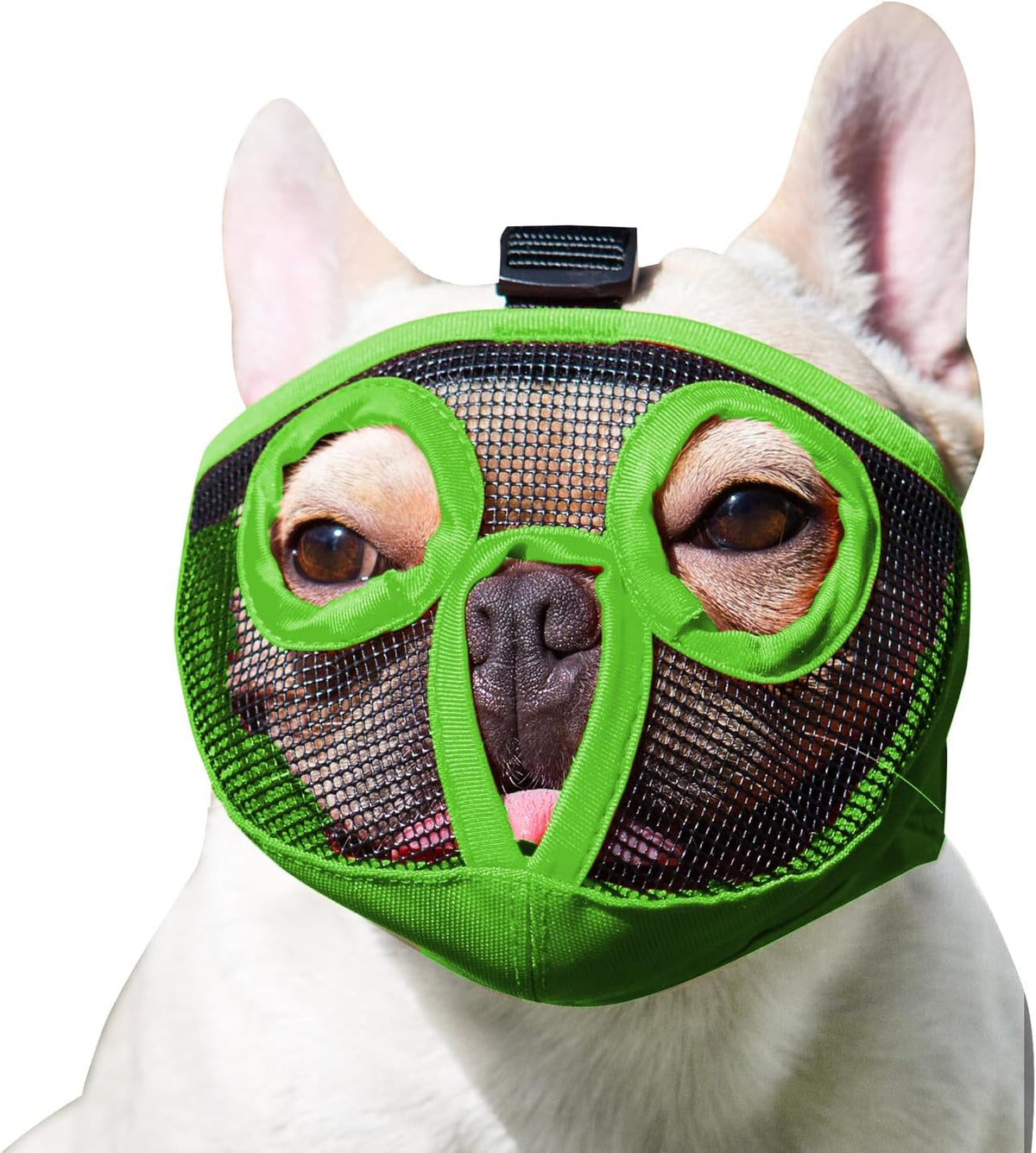 Short Snout Dog Muzzle - Adjustable Breathable Mesh Bulldog Muzzle for Biting Chewing Barking - Green / X-large/ 18"-25"