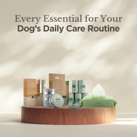 Nina Woof Dog Poop Bags for Daily Walks - Gray / 180 Bags (12 Rolls) - image 4
