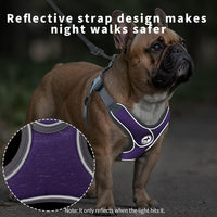 Dog Harness with Leash Set, No Pull Adjustable Step in Pet Vest – Essentials for Dogs - Purple / S - image 3