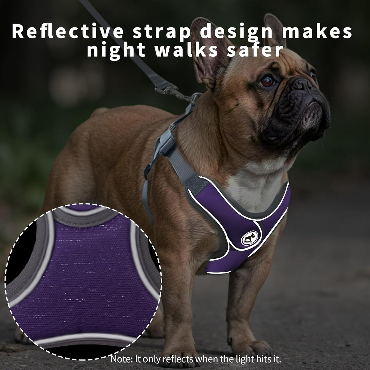 Dog Harness with Leash Set, No Pull Adjustable Step in Pet Vest – Essentials for Dogs - Purple / S - image 3