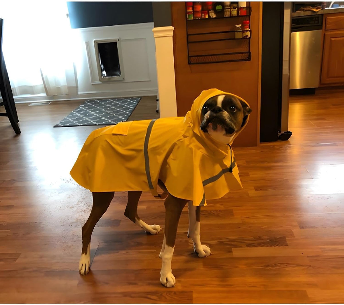 Large Dog Raincoat Adjustable Pet Water Proof Clothes Lightweight - Yellow / X-Large (Pack of 1) - image 4