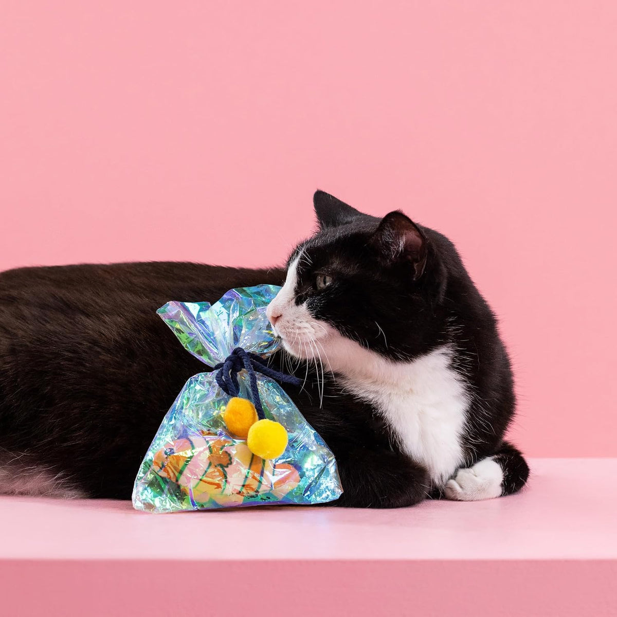 Fringe Studio, Off THE Scales Durable Cotton Canvas Cat Toy - Clownin' Around - image 4