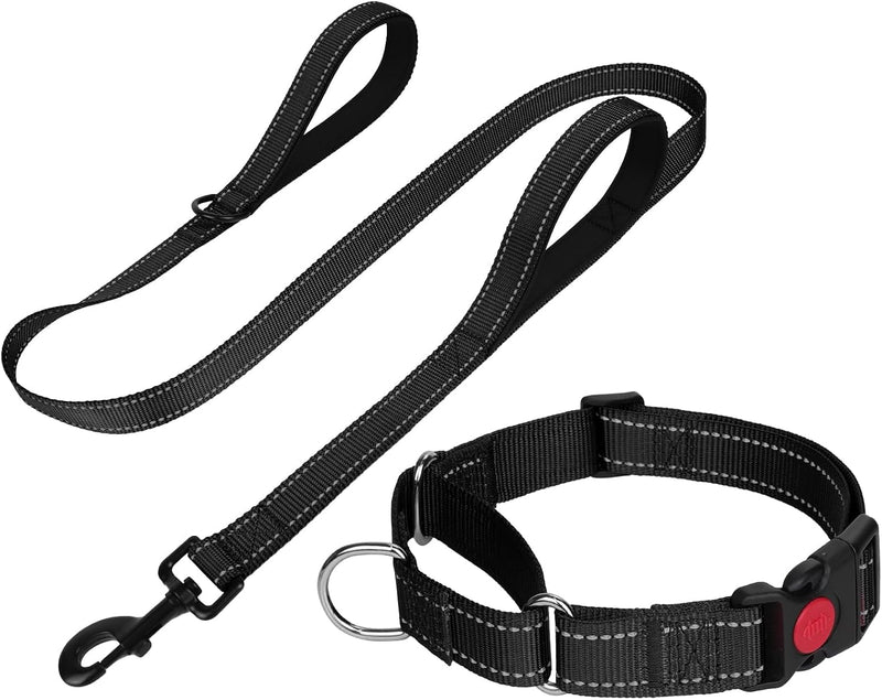 FunTags Martingale Dog Collar and Leash Set for Medium Dogs - Black / S