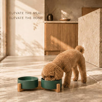 SPUNKYJUNKY Ceramic Dog and Cat Bowl with Wood Stand Non-Slip Matte - 1.7 cups / Green × 2 - image 2