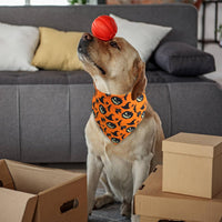 XLarge reversible Halloween dog bandana with jack-o'-lantern and bat print - view 3
