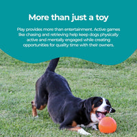 Jolly Pets Bounce-n-Play Dog Toy Ball - Orange / Small (4.5 in) - image 4