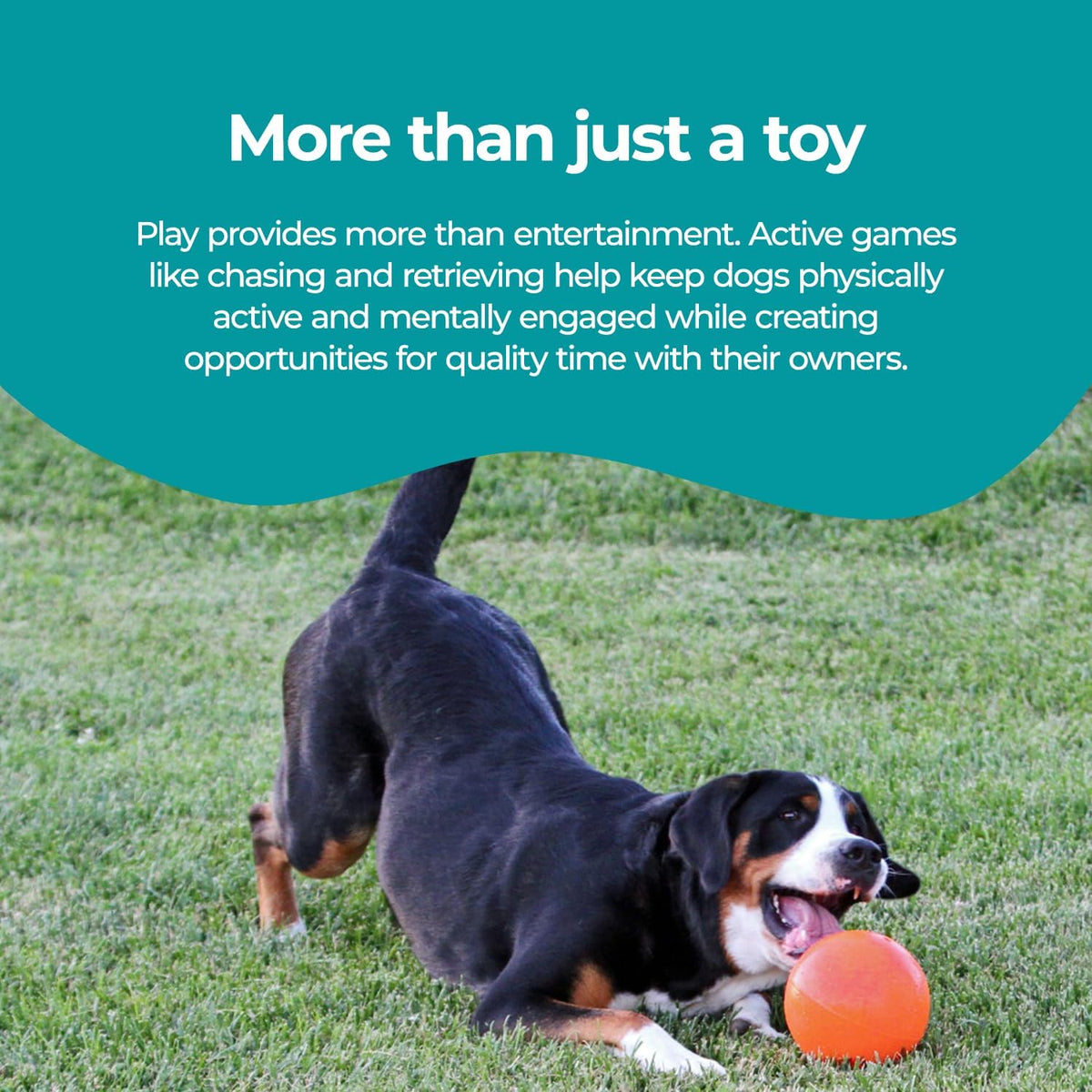 Jolly Pets Bounce-n-Play Dog Toy Ball - Orange / Small (4.5 in) - image 4