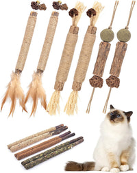 TINDTOP Catnip Chew Toys for Cats - 12 Pack