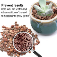 TOYPOPOR 6lb Red Lava Rocks Soil for Plants, Bonsai Cacti Succulents Horticultural Stones, Natural Decorative Volcanic Drainage Gravel for Vase Fillers, Terrarium, Top Dressing, Landscaping, Gardening