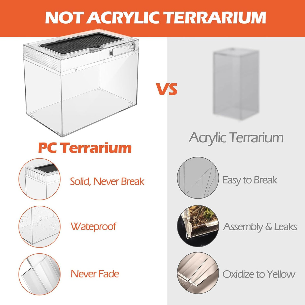 AZV Reptile Terrarium Starter Kit - Small(12*9*7IN) - image 4