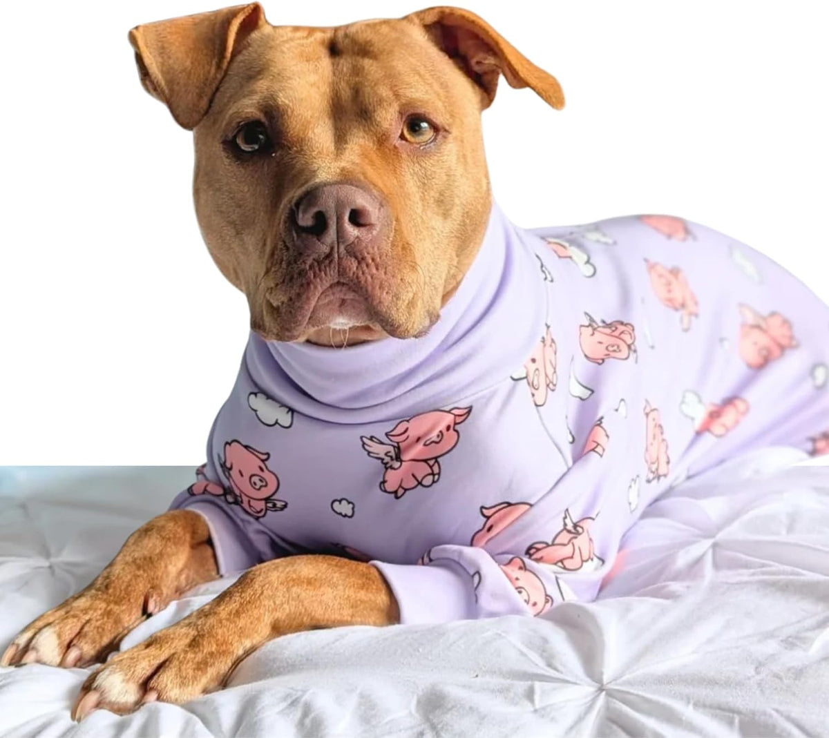 Spark Paws Dog Pajamas - Stretch Onesie Recovery Full Leg Surgery Suit PJS – Essentials for Dogs - When Pigs Fly - Purple / 3XL - image 2