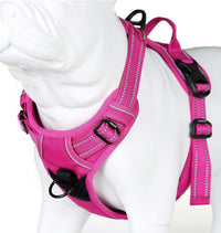 Truelove No Pull Dog Harness with Easy Control Handle and 2 Leash - X-Large / Fuchsia