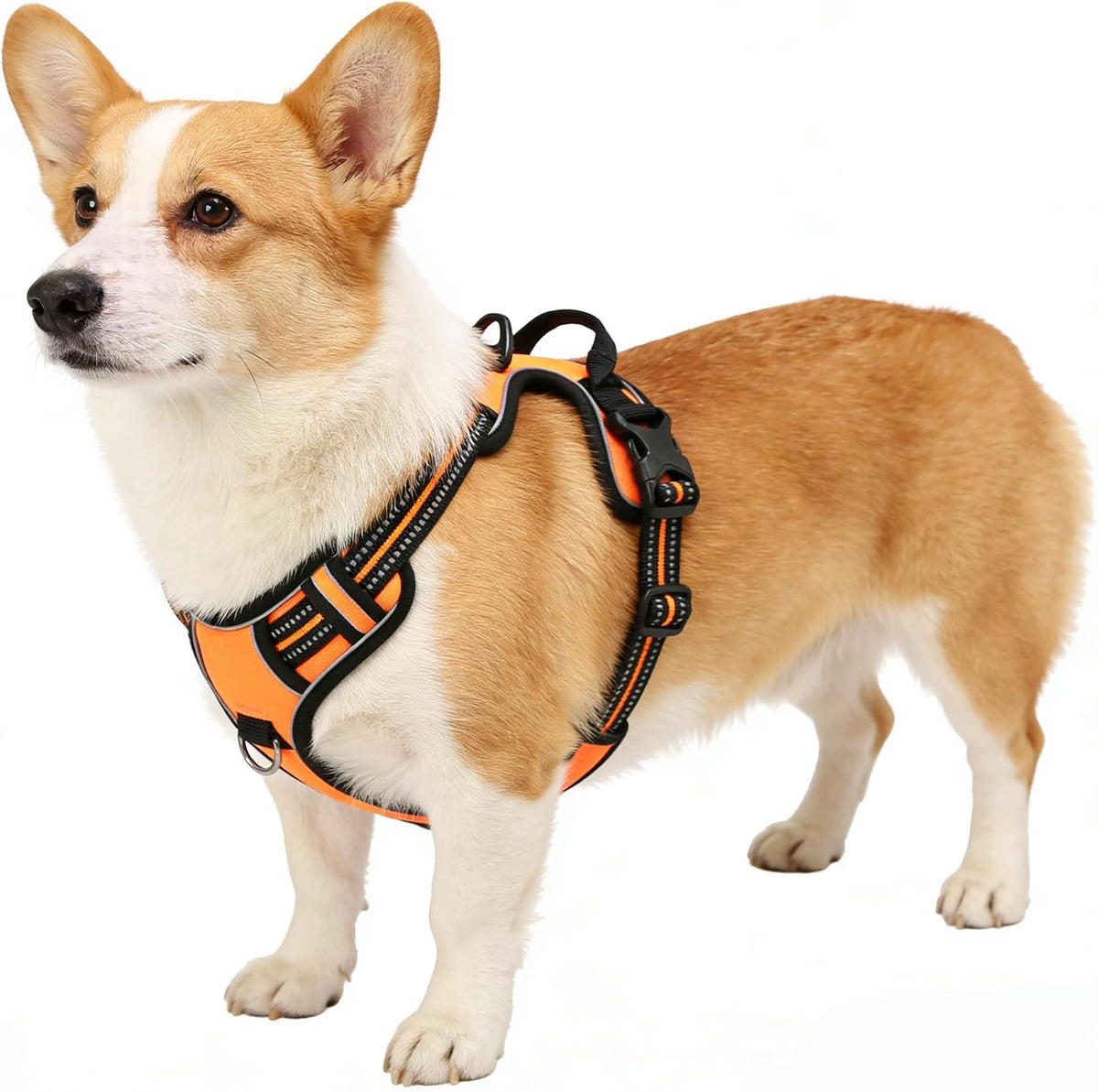Blue No-Pull Dog Harness with 2 Leash Clips，Soft Padded Vest - Medium / Orange