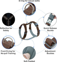 Plutus Pet No Pull Dog Harness - S / Chocolate - image 2