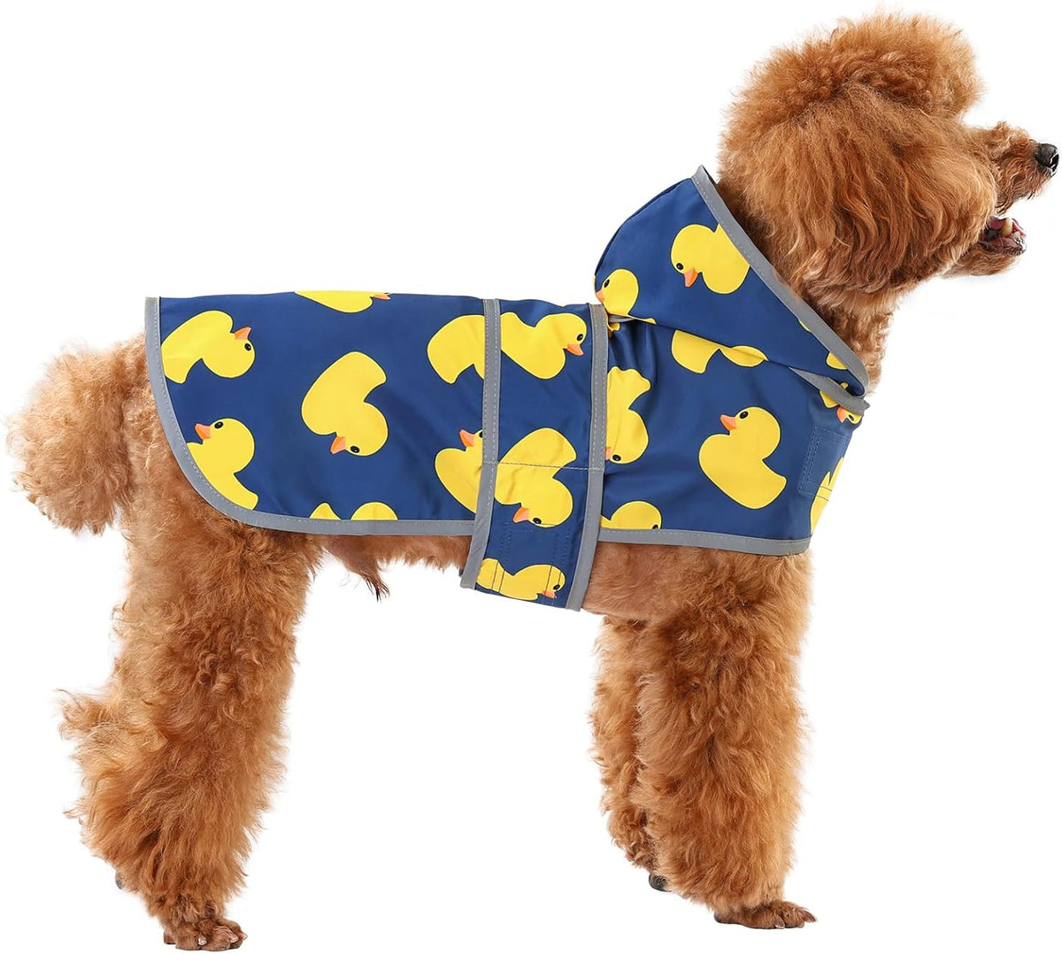 Dog Raincoat, Waterproof Dog Rain Jacket with Hood - Navy Blue Duck / X-Small