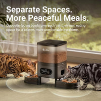 DownyPaws Automatic Cat Feeder 2 Cats - Black - image 2