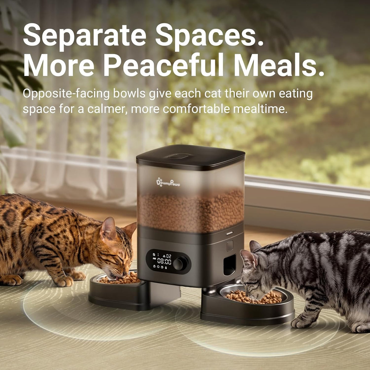 DownyPaws Automatic Cat Feeder 2 Cats - Black - image 2