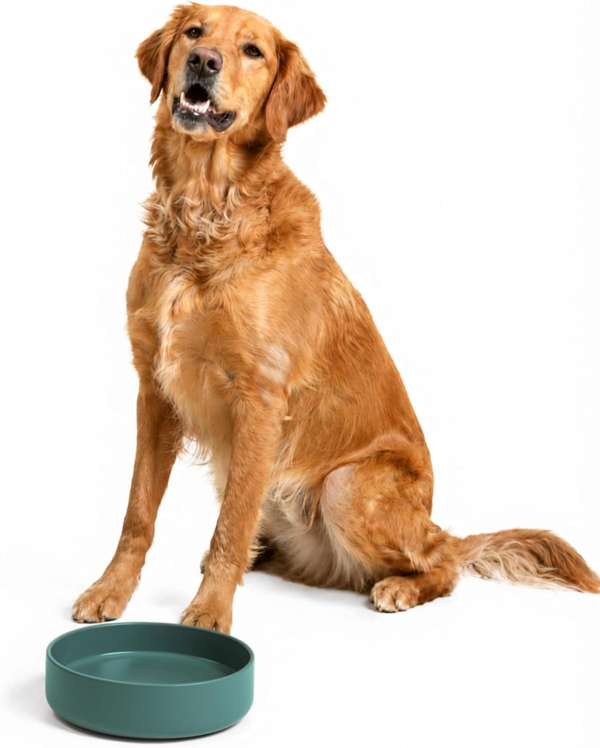 The Perfect Dish, Silicone Dog Bowl for Food & Water - Spruce / Large (9.5” Across and 2.5” Tall)