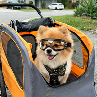 Dog Goggles for Small Breeds - Small / Clear - image 2