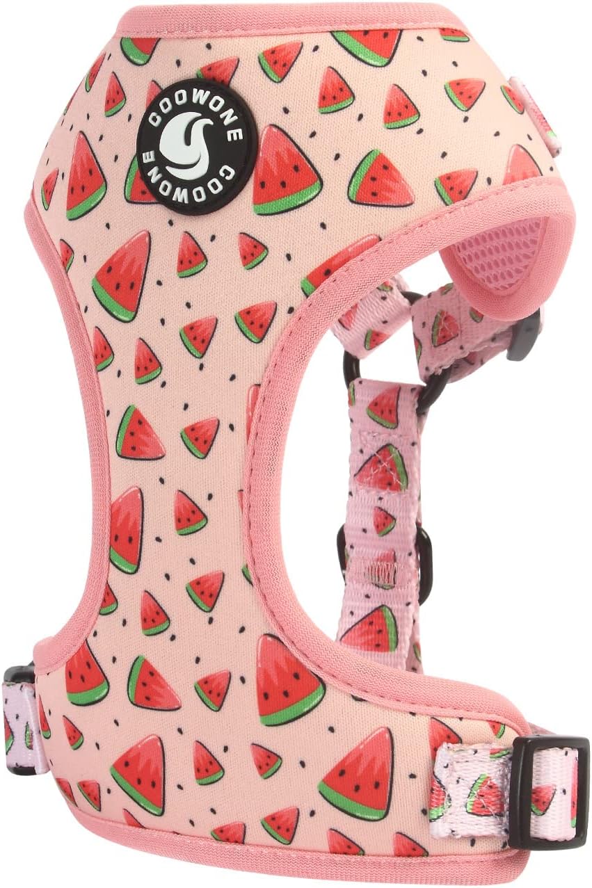Dog Harness and Leash Set, Adjustable Dog Harness, Dog Leash - Watermelon / XS(Chest 9.9 - 13.5", Neck 7.8 - 10.2") - image 4