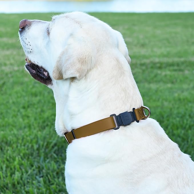 Dogline Biothane Waterproof Dog Collar with Herm Sprenger Stainless Steel Quick Release Buckle – Heavy Duty Tactical Durable Collar for Dogs – Comfortable and Safe Pet Collar, W 3/4" L 12-19", Brown