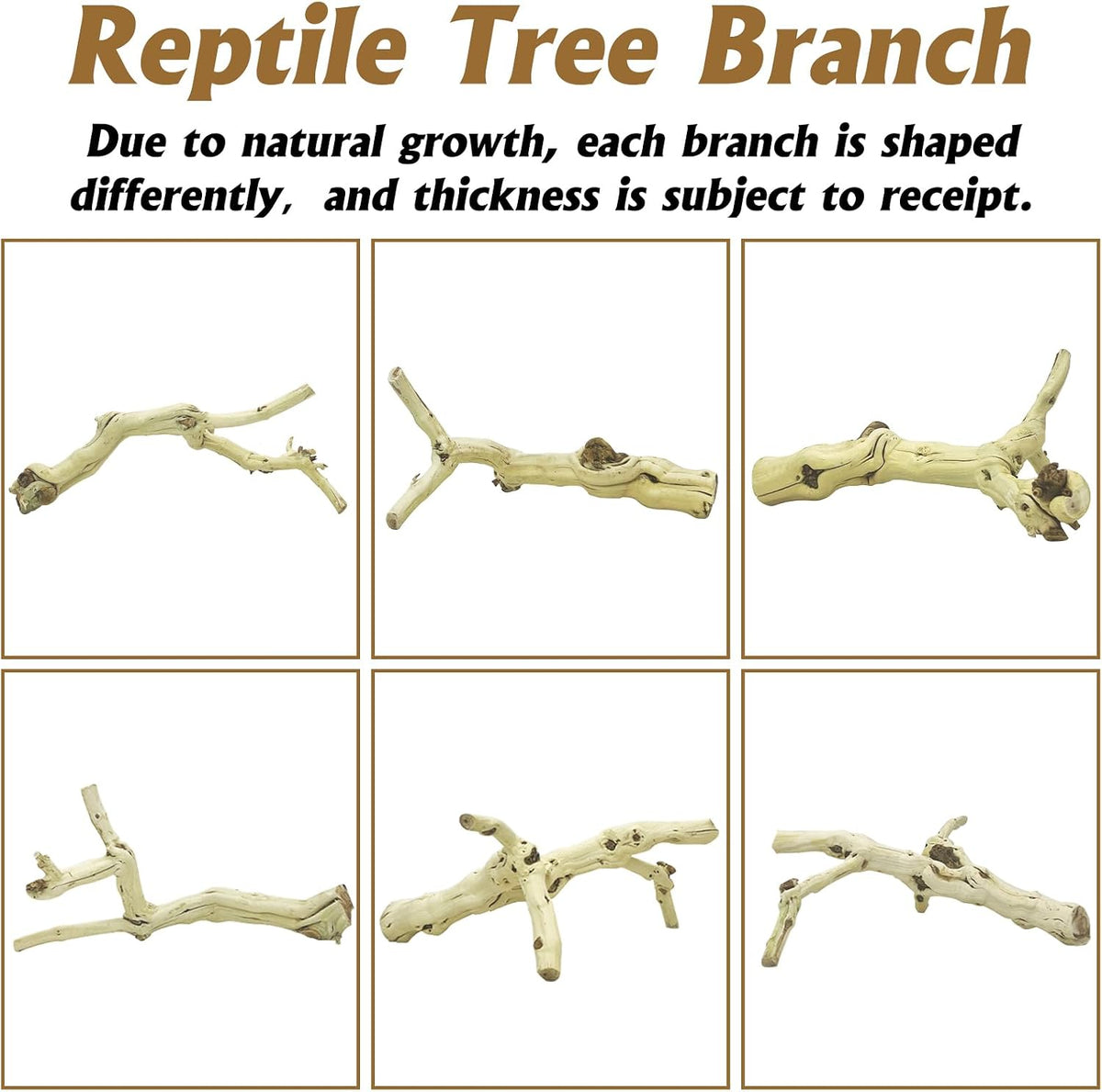 VCEPJH Snake Climbing Branch - Panlong Wood (L:13.7"-15.7"-2pcs) / 2 - image 4