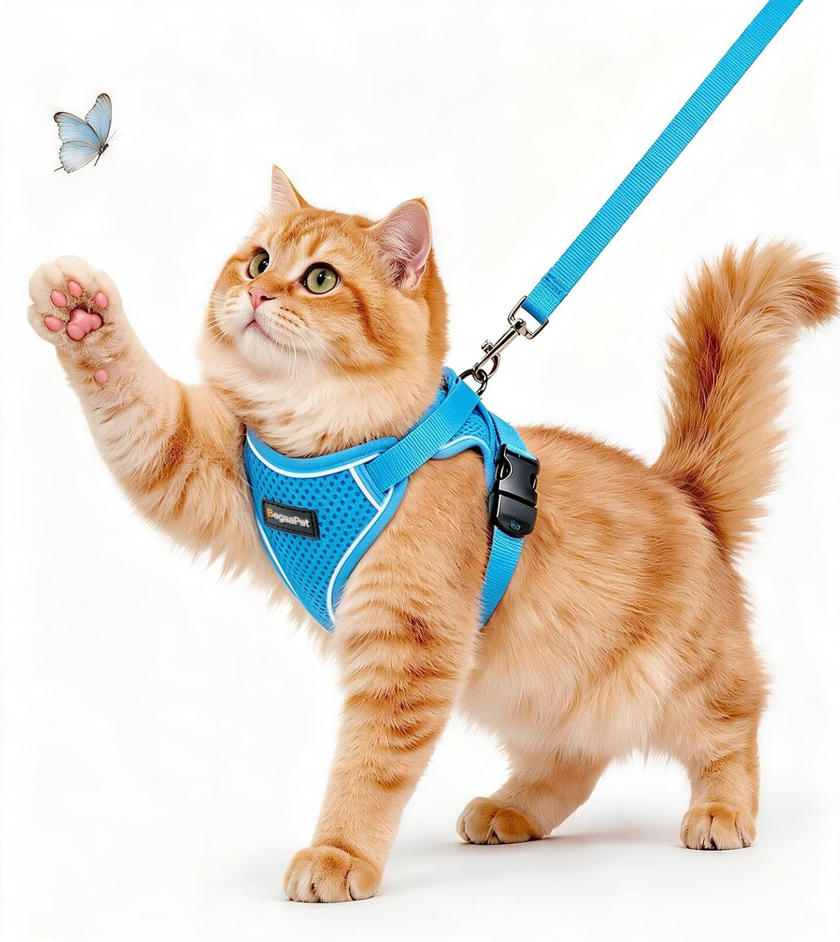 Cat Harness and Leash for Walking - Sky Blue / S (7-12lb)