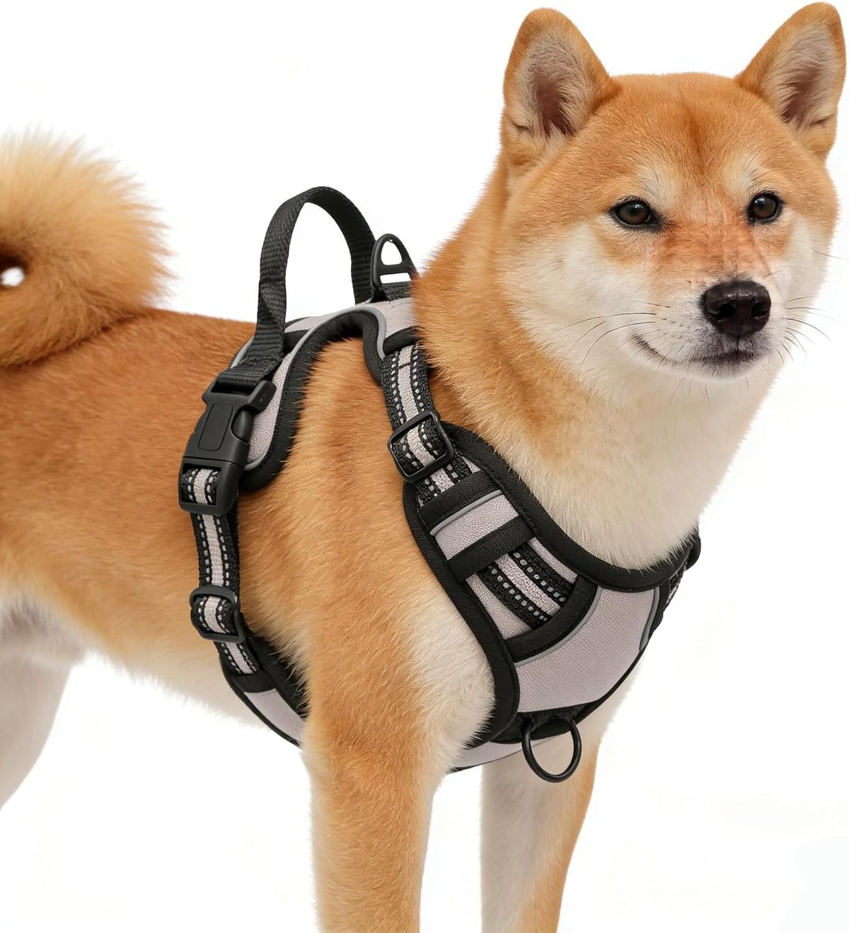 Blue No-Pull Dog Harness with 2 Leash Clips，Soft Padded Vest - Small / Gray
