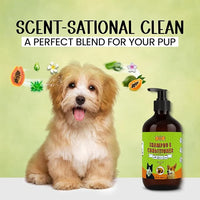 POM Pets 2-in-1 Organic Dog Shampoo & Conditioner – Itchy Skin Relief, Dog Deshedding, Detangles Fur, Cat Shampoo, Paw Cleaner for Dogs, Natural Coat Defense Formula