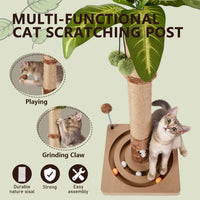 MECOOL 35in Tall Cat Scratching Post Sturdy and Premium Scratch Posts - 30 inches for Kittens - image 3