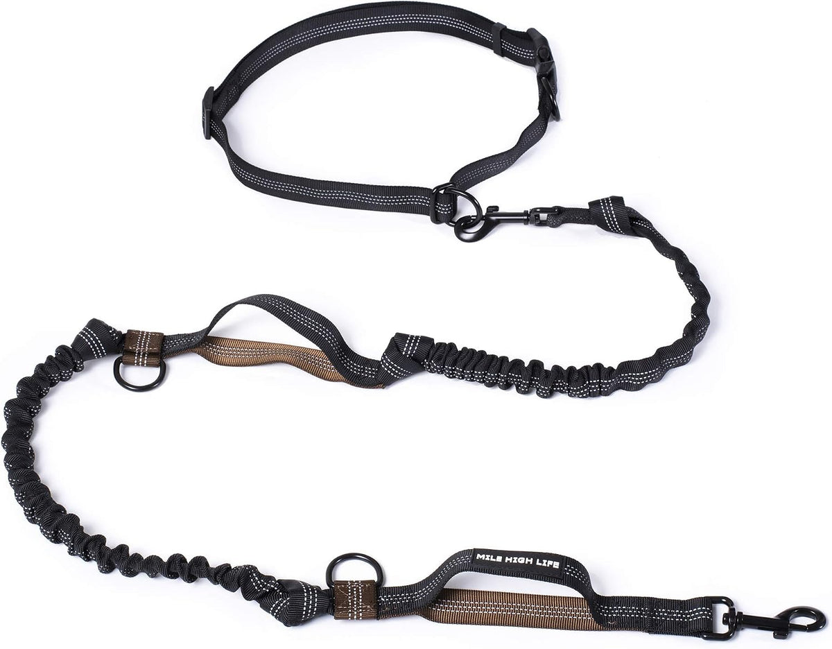 Mile High Life Hands Free Dog Leash - Black Brown / 7FT Hands Free