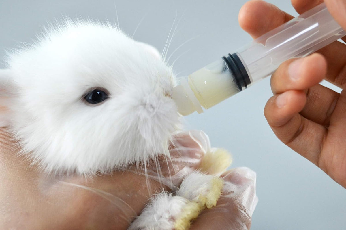 Pet nursing bottle kit with 60 ml bottle, silicone nipples and syringes - view 4