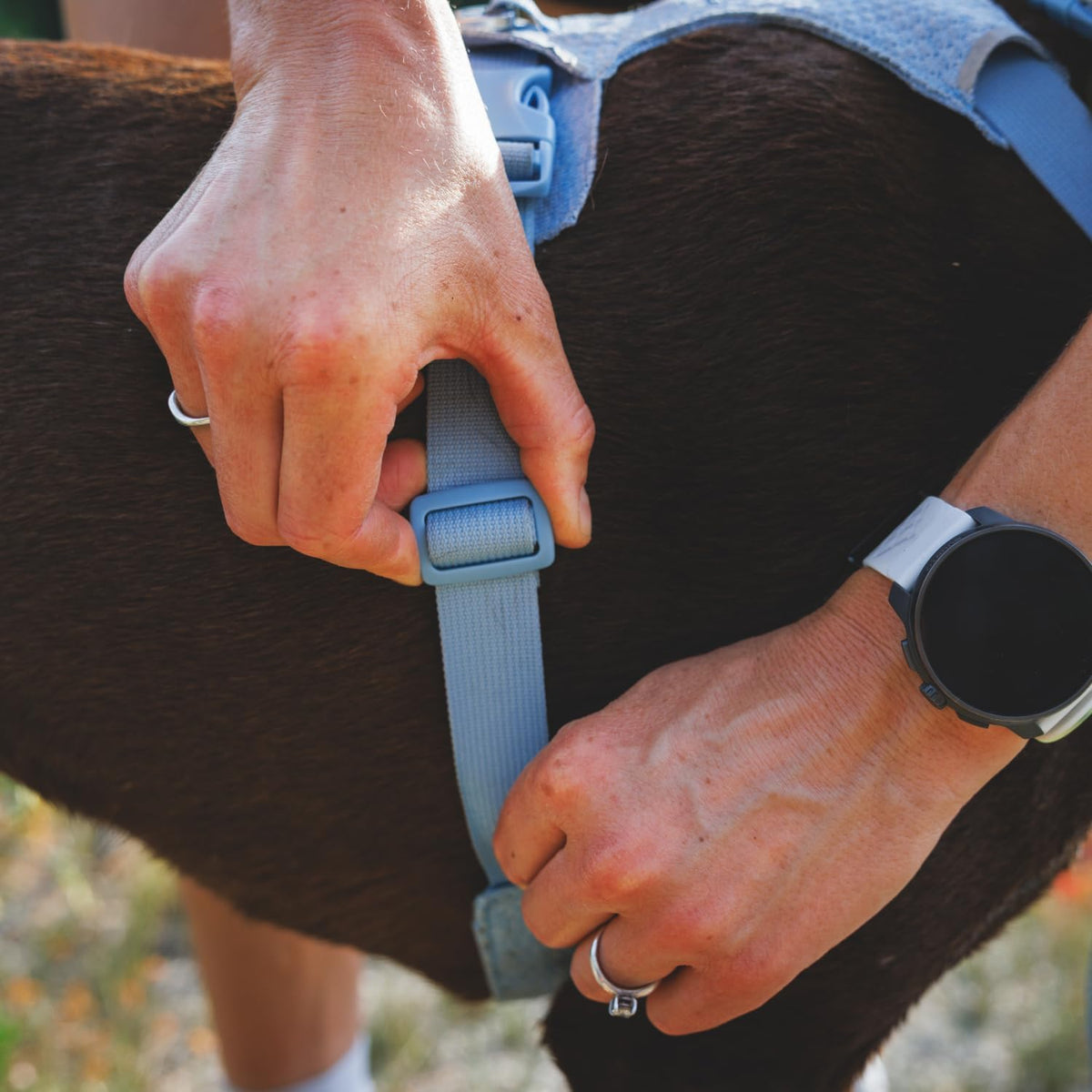 Ruffwear, Front Range Flex Dog Chest Harness - Deep Teal / Large/X-Large - image 4