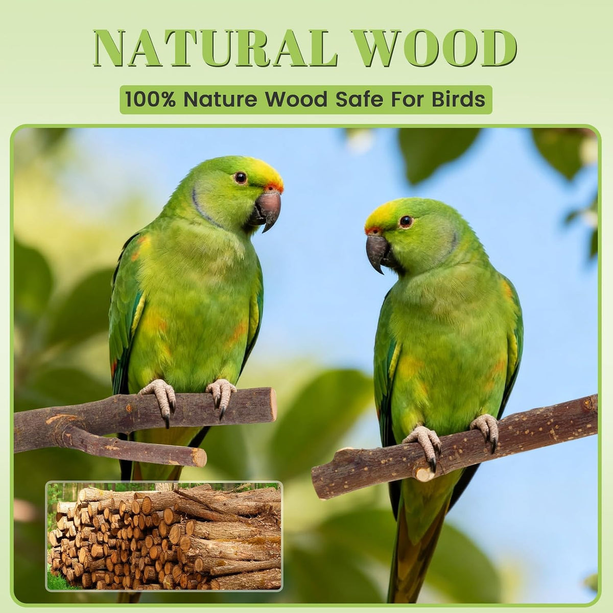 8 Pack Natural Wood Bird Perches for Cage, Wooden Parrot Perch – Essentials for Birds - Medium Size-6 Pack - image 4