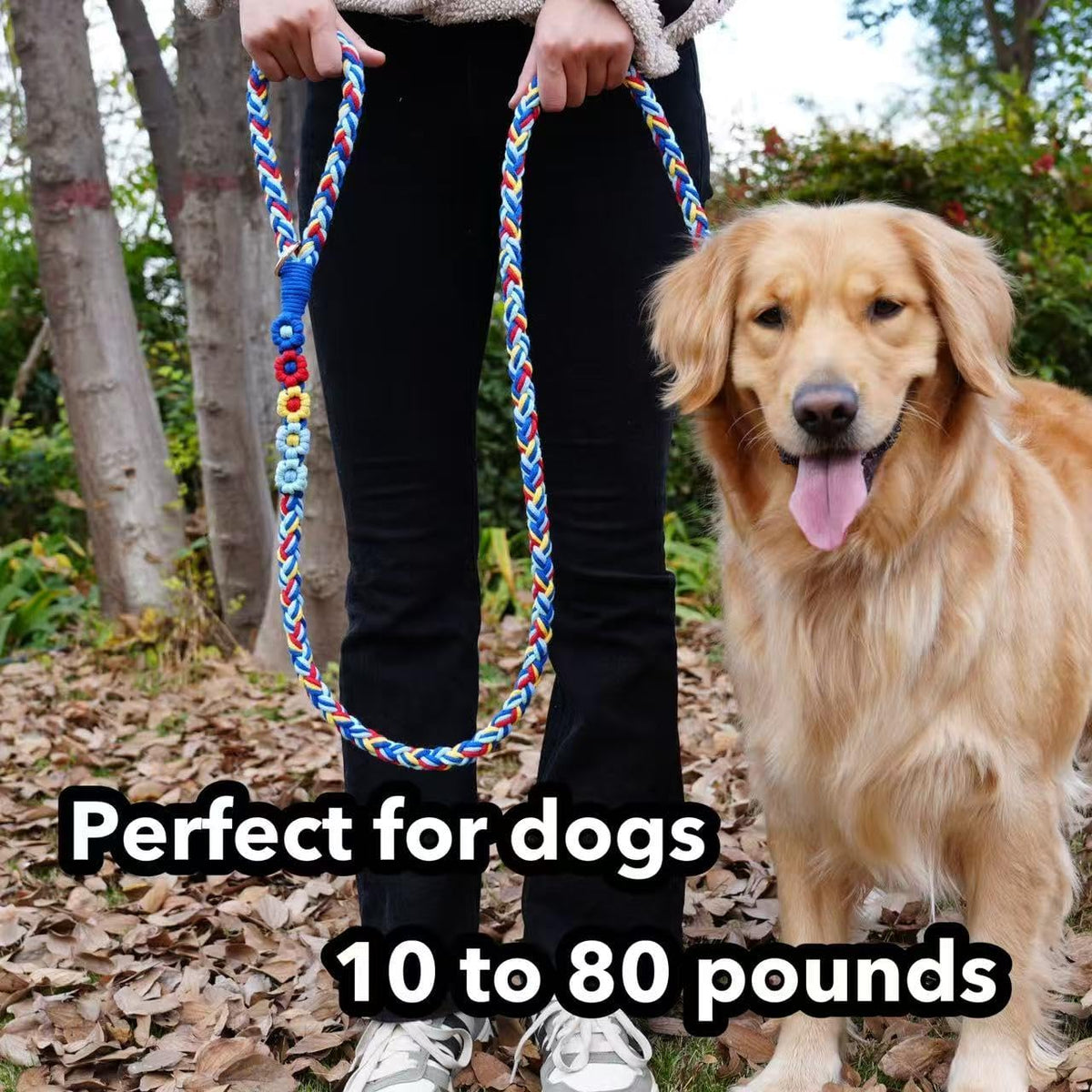 5FT Braided Cotton Rope Leash for Small, Medium and Large Dogs - Colorful Carousel - image 2