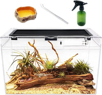 Mini Reptile Terrarium Set - 16" x 8"x 10"