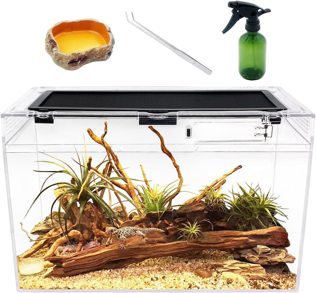 Mini Reptile Terrarium Set - 16" x 8"x 10"