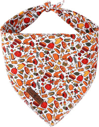 Lionet Paws Spring Daisy Dog Bandana Washable Cotton Handkerchief - Harvest Autumn / Large (Pack of 1)