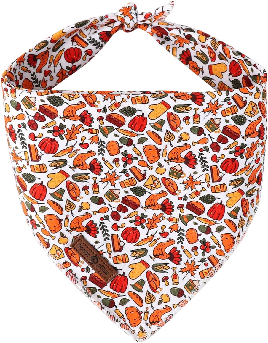 Lionet Paws Spring Daisy Dog Bandana Washable Cotton Handkerchief - Harvest Autumn / Large (Pack of 1)