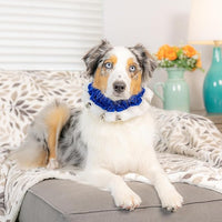 Huxley & Kent Ruff Pet Scrunchy | Hanukkah (Medium) | Festive Christmas/Holiday Neckwear for Dogs/Cats | Fun Stretchable Costume Accessory | Soft Collar with Bells