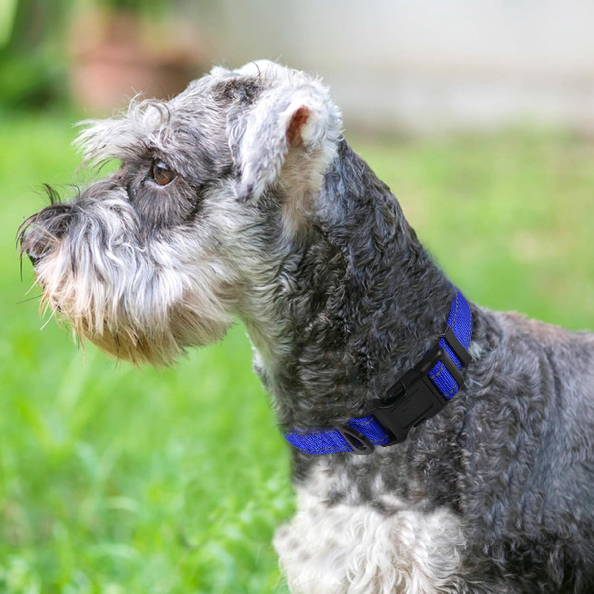 Joytale Reflective Dog Collar, Adjustable Neoprene Padded - Small (Pack of 1) / Navy Blue - image 2
