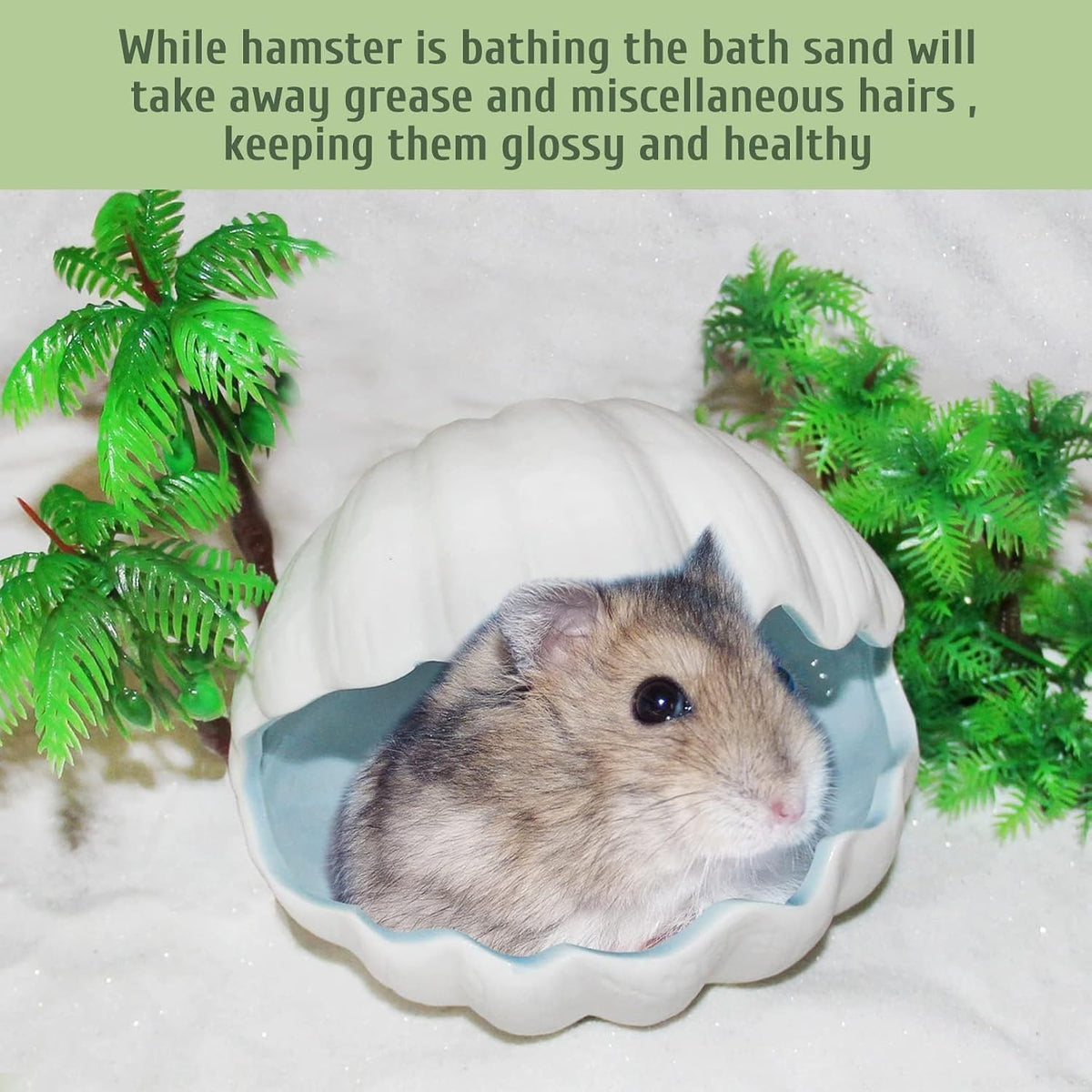 Hamiledyi Hamster Bathing Sand 4 LB Gerbil Powder Grooming Sand – Daily Care for Small Pets - 1 Pack—2 LB/Bag - image 4