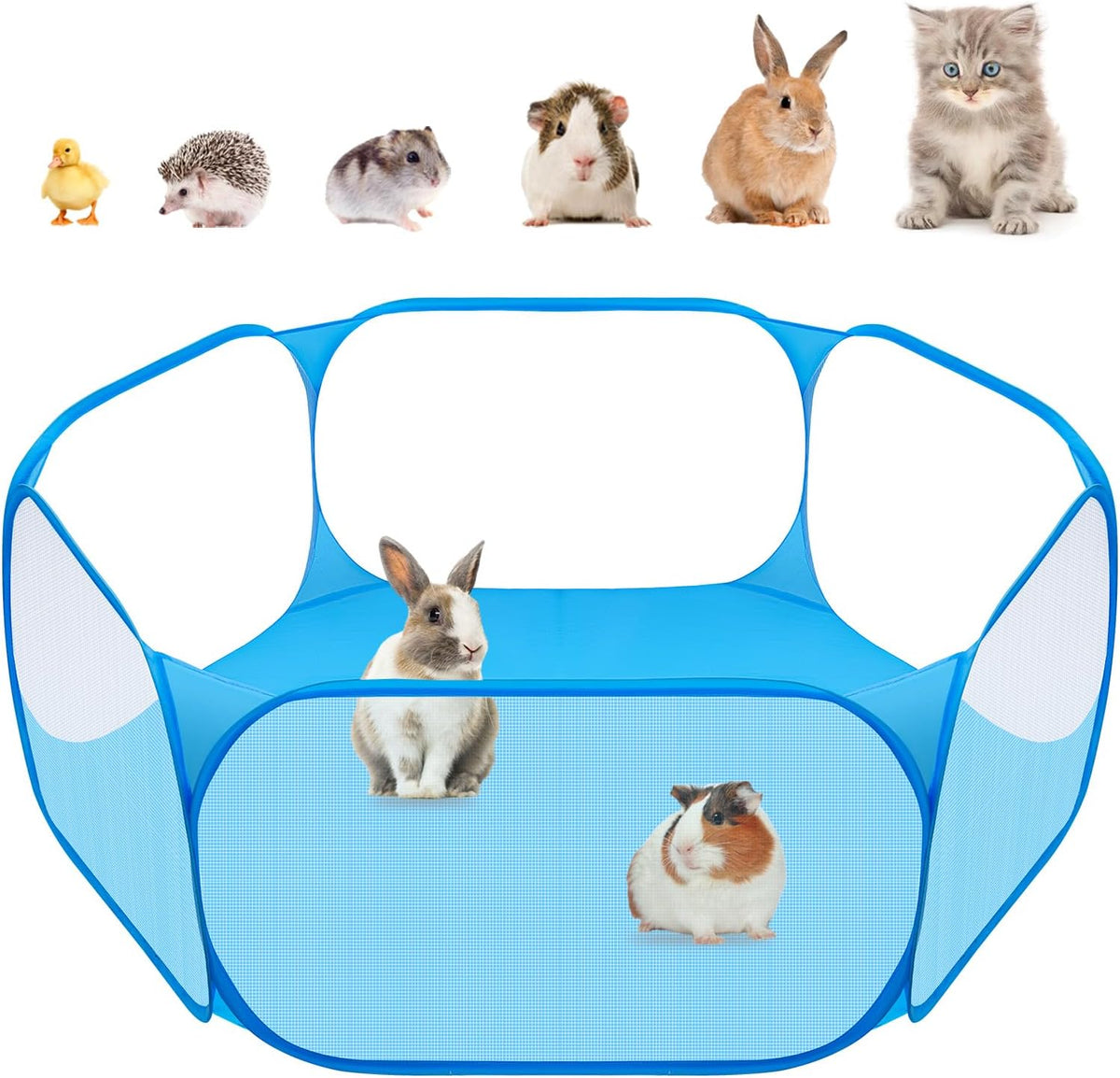 Small Animal Playpen, Pop-Up Portable Play Yard for Guinea Pigs - Blue