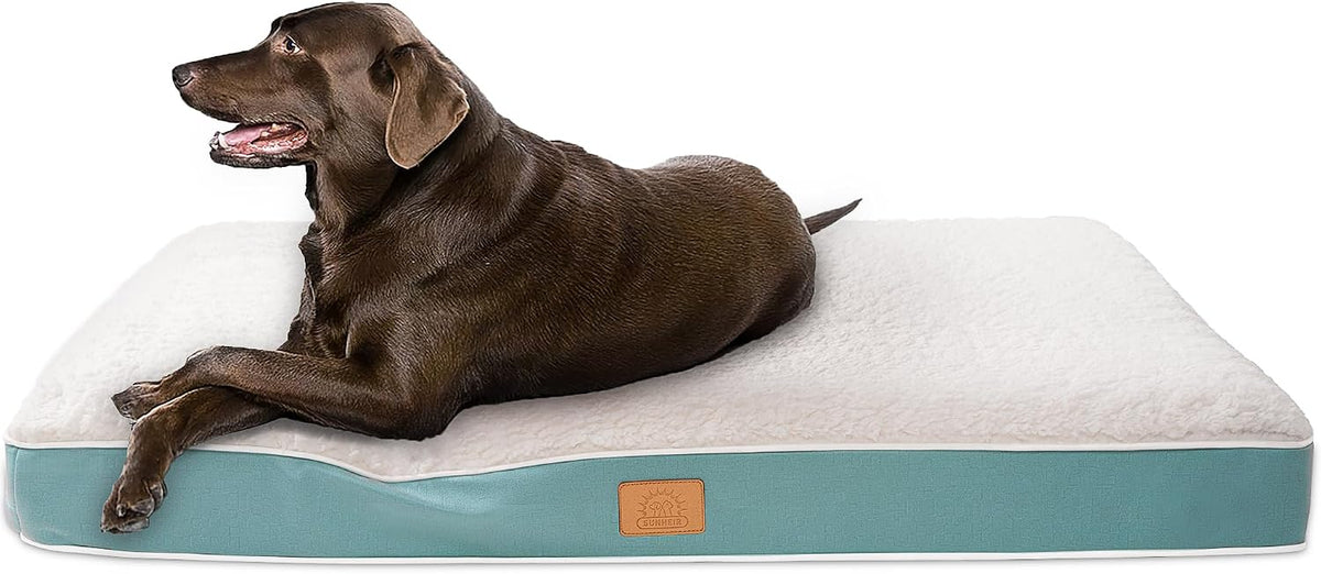 Washable Orthopedic Large Dog Bed with Removable Cover - Blue / 44.0"L x 32.0"W x 3.0"Th