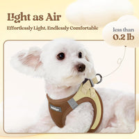 rabbitgoo Dog Harness Small Sized and Leash Set - Brown & Beige / Xs (chest: 13.3 - 15.5") - image 4