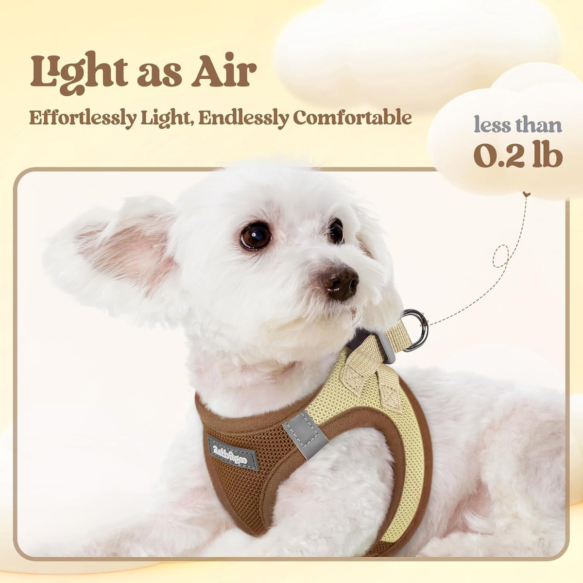rabbitgoo Dog Harness Small Sized and Leash Set - Brown & Beige / Xs (chest: 13.3 - 15.5") - image 4